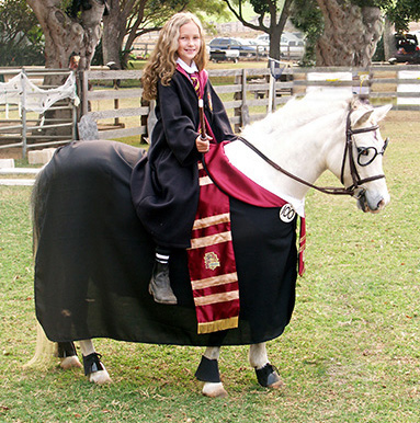 Harry Potter  - Horse Fancy Dress